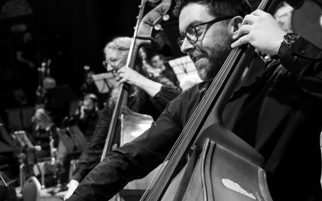 Double Bass musician from Irish Doctors Orchestra